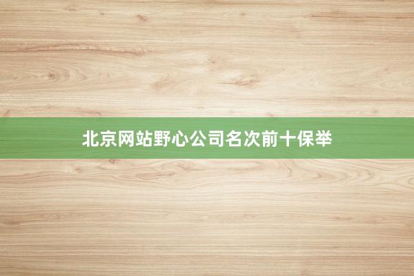 北京网站野心公司名次前十保举